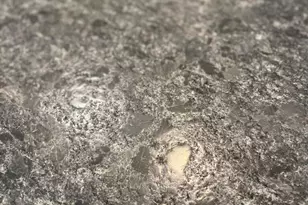 506 Harding Rd, Freehold, NJ 07728 - Photo 9