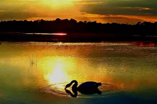 54 Beach Ave, Bayville, NJ 08721 - Photo 5