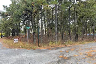 0 Holly Rd, Forked River, NJ 08731 - Photo 1