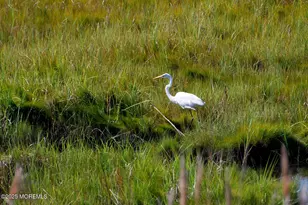 124 St Lawrence Blvd, Brick, NJ 08723 - Photo 87