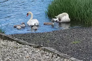 7 Manahassett Park Dr, Long Branch, NJ 07740 - Photo 63