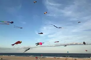 10 E St, Seaside Park, NJ 08752 - Photo 23