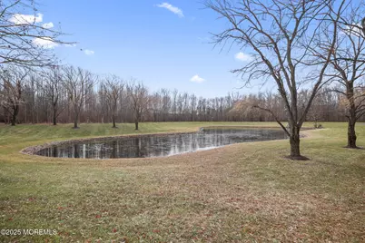 10 Pink Star Court, Manalapan Township, NJ 07726 - Photo 29