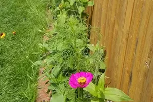 1644 Riverview Terrace, Wall Township, NJ 07719 - Photo 31