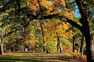 12 Ellsworth Ct, Red Bank, NJ 07701 - Photo 47