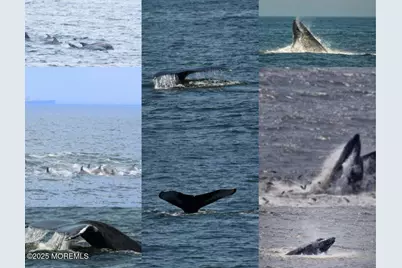 17 Via Ripa Way, Sea Bright, NJ 07760 - Photo 29