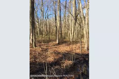 45 Iron Ore Road, Manalapan Township, NJ 07726 - Photo 23