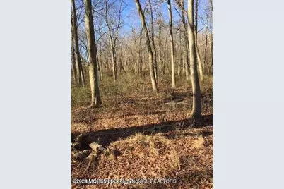 45 Iron Ore Road, Manalapan Township, NJ 07726 - Photo 19