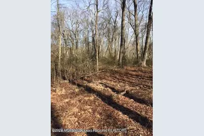 45 Iron Ore Road, Manalapan Township, NJ 07726 - Photo 21