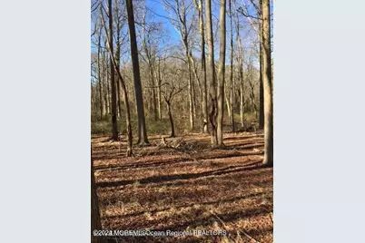 45 Iron Ore Road, Manalapan Township, NJ 07726 - Photo 25