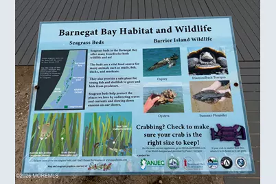 26 Shell Road #127, Mantoloking, NJ 08738 - Photo 19