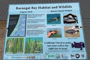 26 Shell Rd, Mantoloking, NJ 08738 - Photo 19