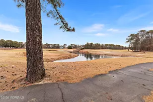 407 Golf View Dr, Little Egg Harbor, NJ 08087 - Photo 55