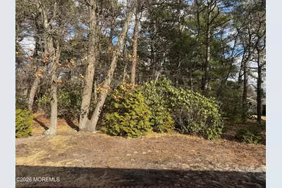 56 Constitution Boulevard #56, Whiting, NJ 08759 - Photo 23