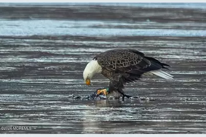 91 Davis Lane, Red Bank, NJ 07701 - Photo 85