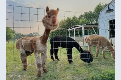 177 Stillwell Road, Holmdel, NJ 07733 - Photo 31