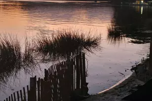 445 S Riverside Dr, Neptune Township, NJ 07753 - Photo 37