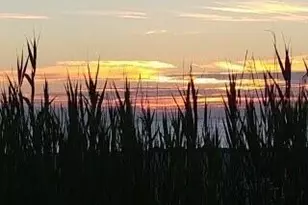 445 S Riverside Dr, Neptune Township, NJ 07753 - Photo 31