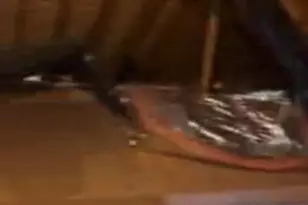 1000 Birmingham Ave, Toms River Township, NJ 08757 - Photo 47