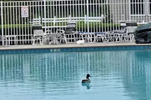 3503 Vicari Ave, Toms River Township, NJ 08755 - Photo 37