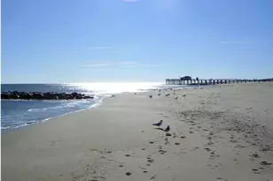 35 1/2 Olin St, Ocean Grove, NJ 07756 - Photo 23