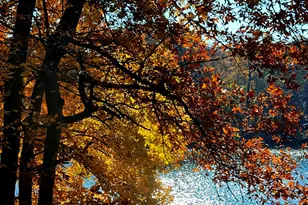 3 Auburn Ct, Red Bank, NJ 07701 - Photo 55