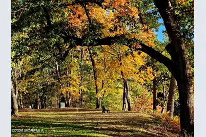 3 Auburn Court, Red Bank, NJ 07701 - Photo 53