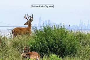 46 Golden Eye Ln, Port Monmouth, NJ 07758 - Photo 33