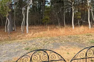 409 Costa Mesa Dr, Toms River Township, NJ 08757 - Photo 49