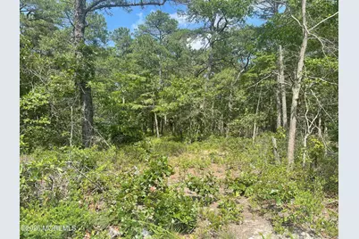 1463 Route 539, Little Egg Harbor, NJ 08087 - Photo 3