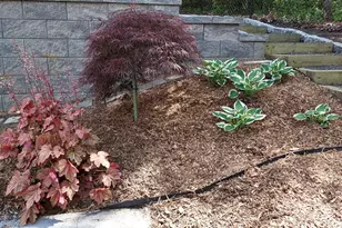 1 Hemlock Dr, New Egypt, NJ 08533 - Photo 67