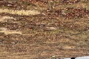 172 Chelton Ave, Long Branch, NJ 07740 - Photo 1