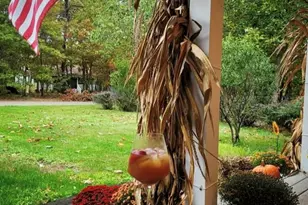 12 Pinewood Dr, Little Egg Harbor, NJ 08087 - Photo 5