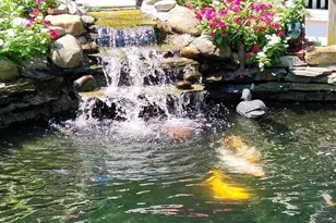 22 Nugentown Rd, Little Egg Harbor, NJ 08087 - Photo 33