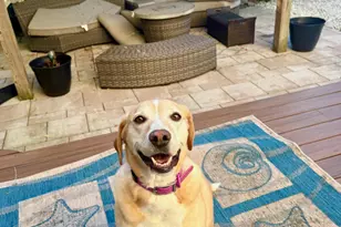 331 Richmond Ave, Point Pleasant Beach, NJ 08742 - Photo 27