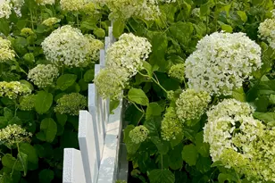 344 Main Ave, Bay Head, NJ 08742 - Photo 39