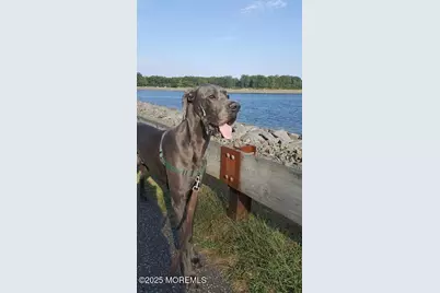 720 Maidenstone Drive, Brick, NJ 08724 - Photo 71