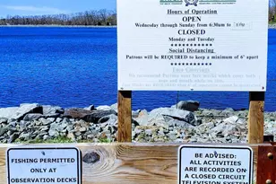 720 Maidenstone Dr, Brick, NJ 08724 - Photo 69