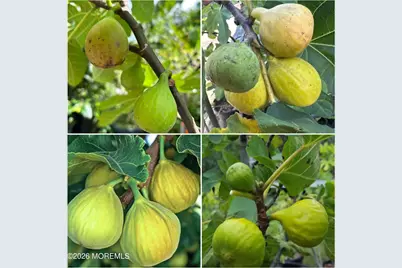 6 Hillcrest Road, Manalapan Township, NJ 07726 - Photo 37