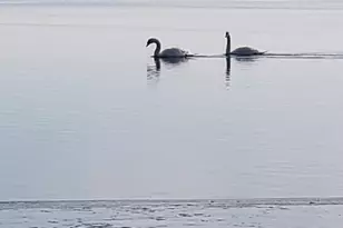 18 High Tide Dr, Waretown, NJ 08758 - Photo 21