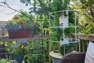 2166 Windfield Dr, Wall Township, NJ 07719 - Photo 19