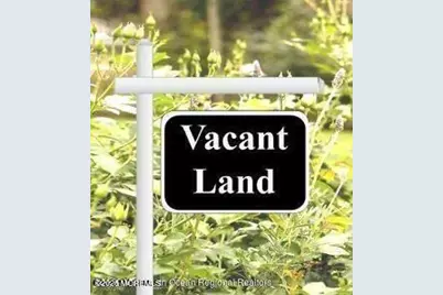 0 Cassville Road, Jackson, NJ 08527 - Photo 3