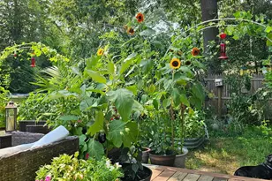 330 Riviera Dr, Forked River, NJ 08731 - Photo 23