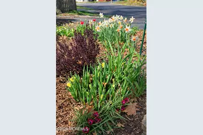 11 Poplar Avenue, Hazlet Township, NJ 07734 - Photo 37