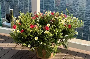 48 W Granada Dr, Brick, NJ 08723 - Photo 5