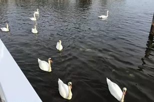 58 Island Dr, Brick, NJ 08724 - Photo 109