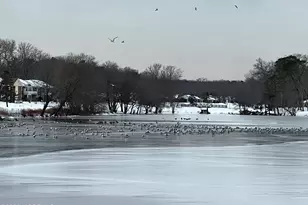 173A Sterling Ct, Lakewood, NJ 08701 - Photo 41