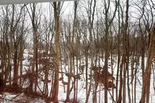 47 Galewood Dr, Matawan, NJ 07747 - Photo 23