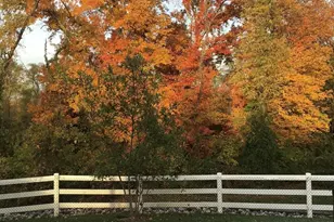 3 Breton Ln, Manalapan Township, NJ 07726 - Photo 65