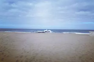 608 Brielle Ave, Brielle, NJ 08730 - Photo 45